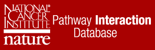 PathwayInteractionDatabase